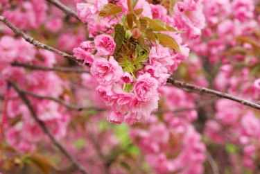 苏州常熟线下个人借款平台一站式服务，轻松解决资金难题