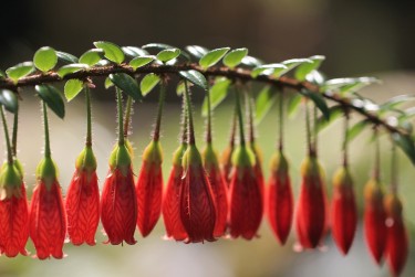 苏州常熟零用贷短借：轻松解决临时资金需求