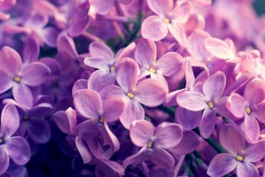 苏州常熟企业急用钱贷款攻略：快速融资解燃眉之急